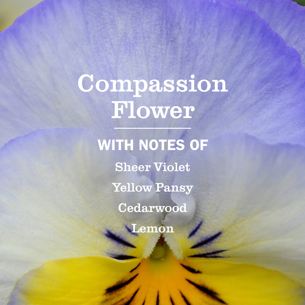 Compassion Flower Multi-Surface Concentrate - Image 4