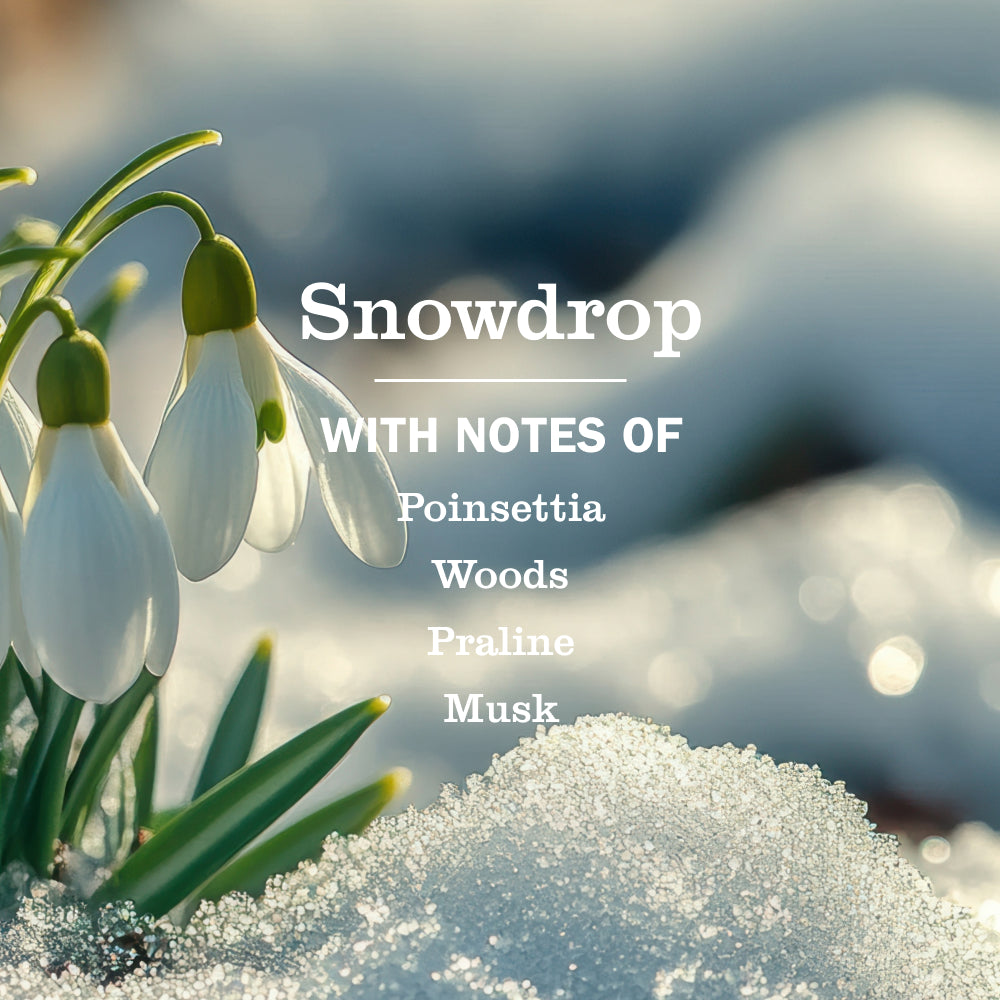 Snowdrop Liquid Hand Soap Refill - Image 4