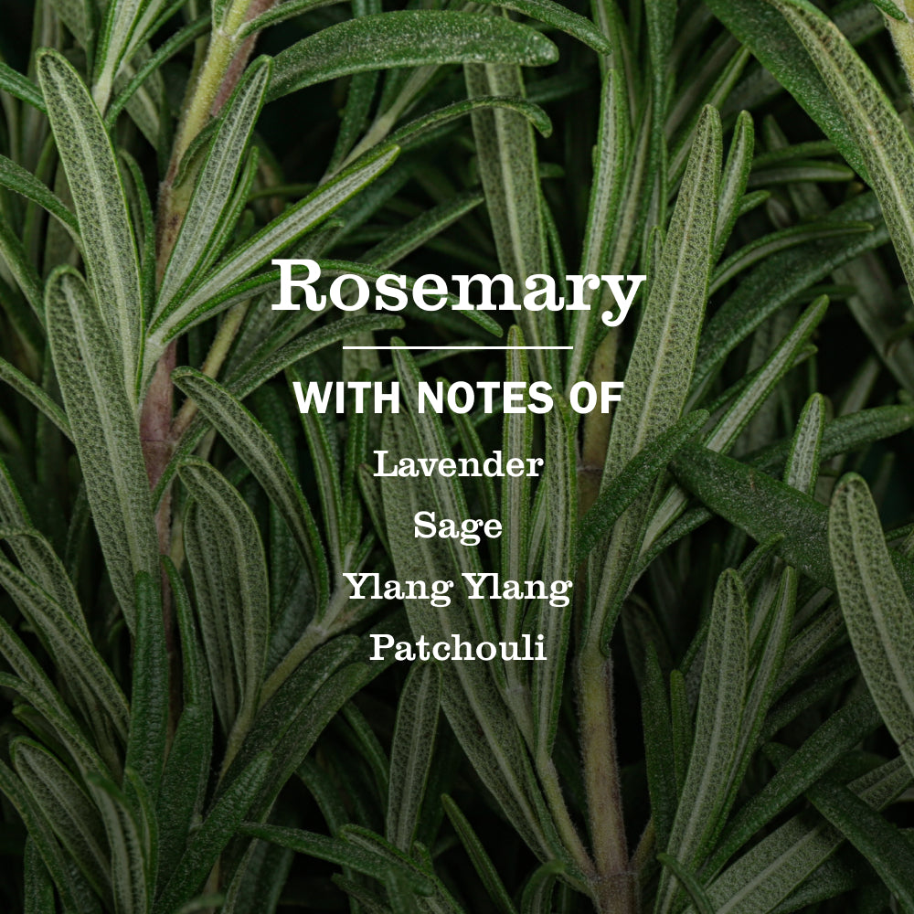 Rosemary Multi-Surface Everyday Cleaner - Image 4